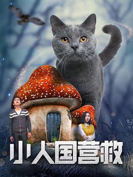 色婷婷资源网